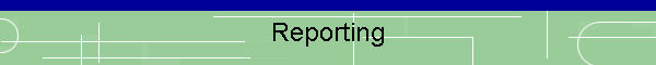 Reporting