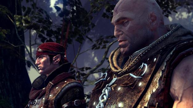 http://www.gamephoton.com/witcher10.jpg